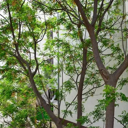 Apartments Marasovic - Roko *