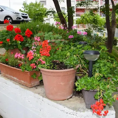 Apartments Marasovic - Roko * Split